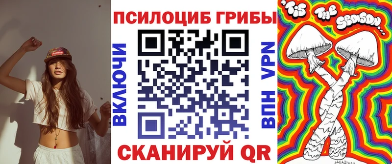 Псилоцибиновые грибы прущие грибы  Барыш 